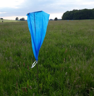 Plastic bag on a stick in a field