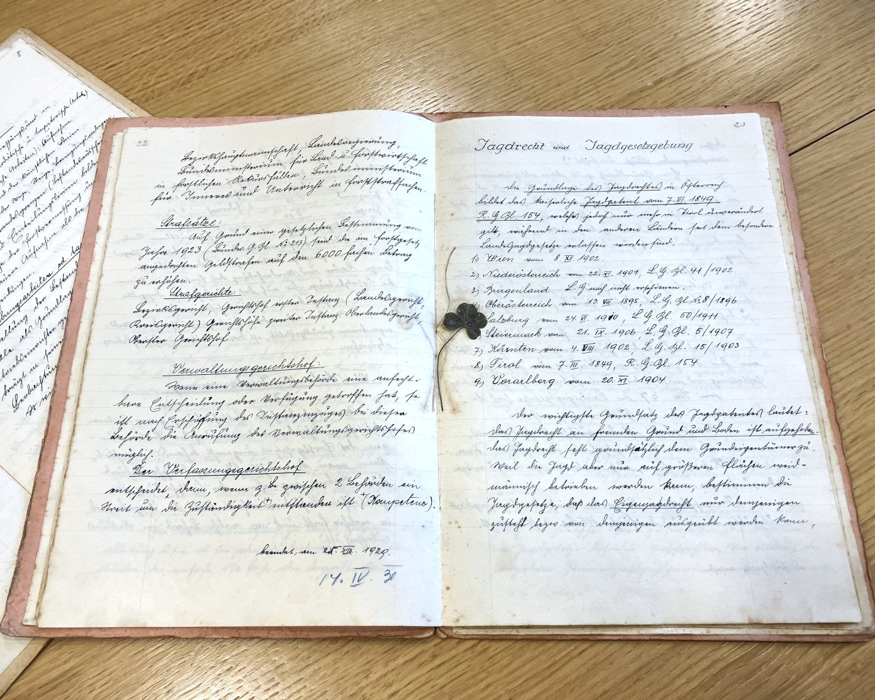 Sammlung Mariabrunn – ein Stück lebendige Forstgeschichte 1 Sammlung Mariabrunn – ein Stück lebendige Forstgeschichte