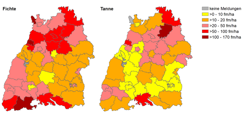 Abb. 3: Mit den Einschlagsursachen „Insekten und Dürre“ in den Unteren Forstbehörden Baden-Württembergs von 2018 bis 2022 in der Summe angefallenes Schadholz bezogen auf die vorhandene Holzbodenfläche mit einem Baumalter über 40 Jahre für Fichte (links) (a) und Tanne (rechts) (b) im Vergleich über alle Waldbesitzarten; Grafik: FVA BW/Kammen, FVA BW/Wußler; Quellen: BWI 3, LFV und ForstBW.