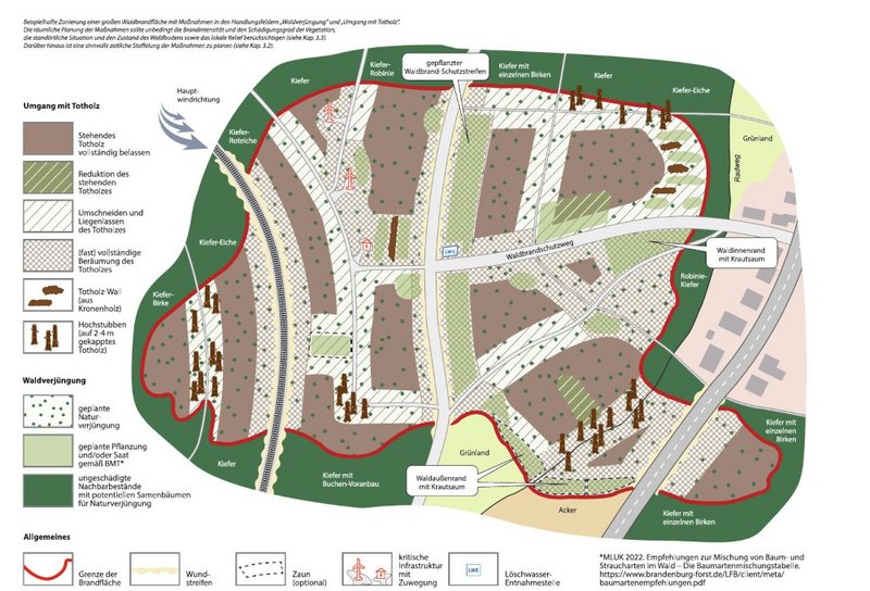 Grafik mit verschiedenen Behandlungszonen nach Waldbrand