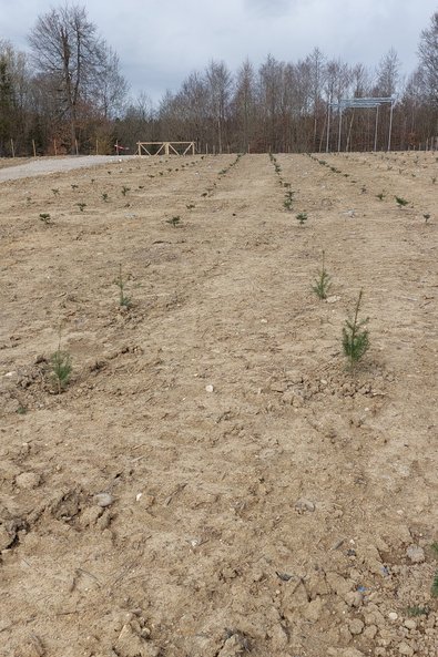 Vergleichsfeld ohne Überdachung mit Photovoltaikmodulen