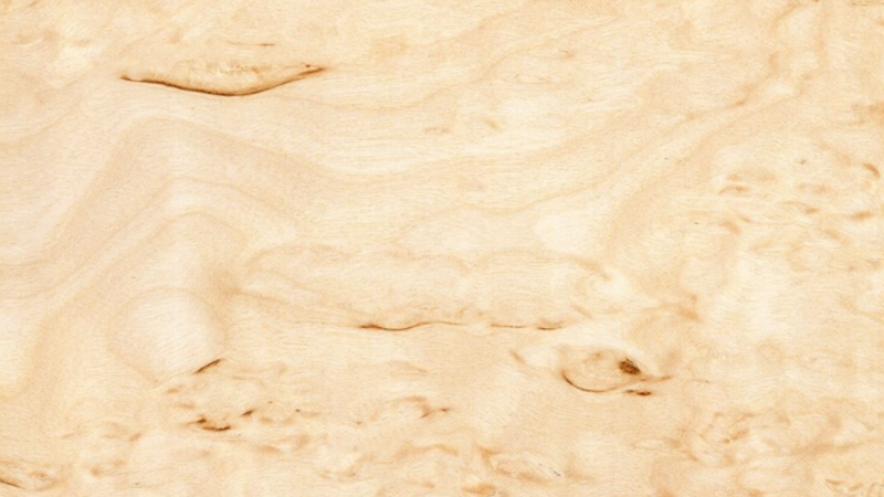 Holz der Karelischen Birke