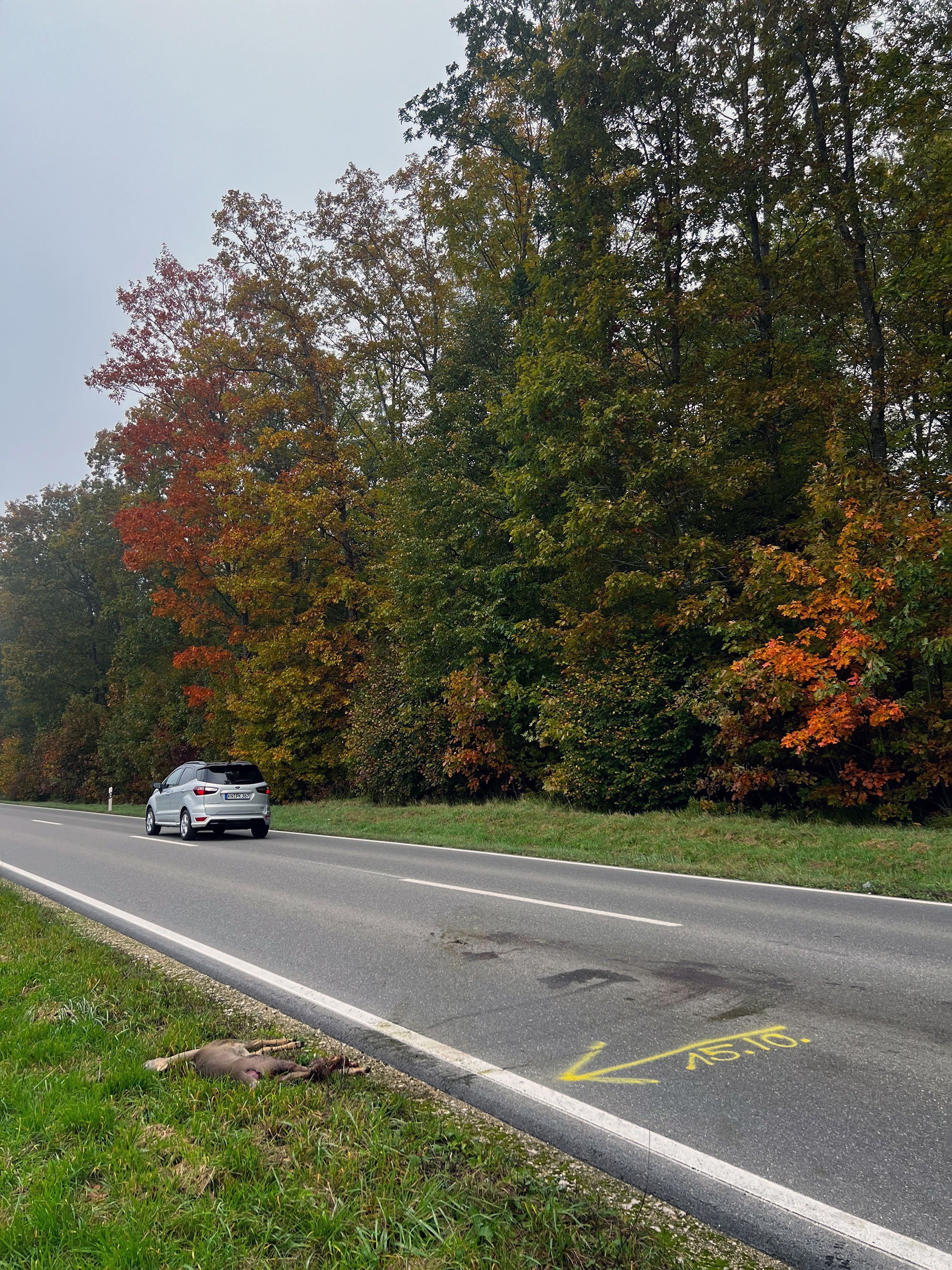 Wenn die Straße zum Abschuss beiträgt 1 Wenn die Straße zum Abschuss beiträgt