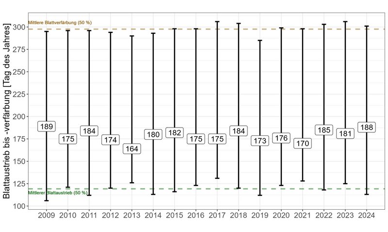 Grafik