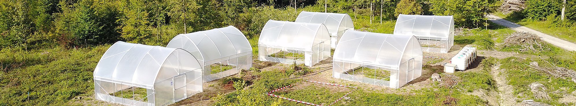 Folientunnel bei der Testpflanzung in Aesch