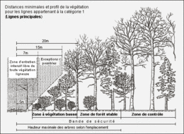 Distances minimales et profil de la végétation pour les lignes principales
