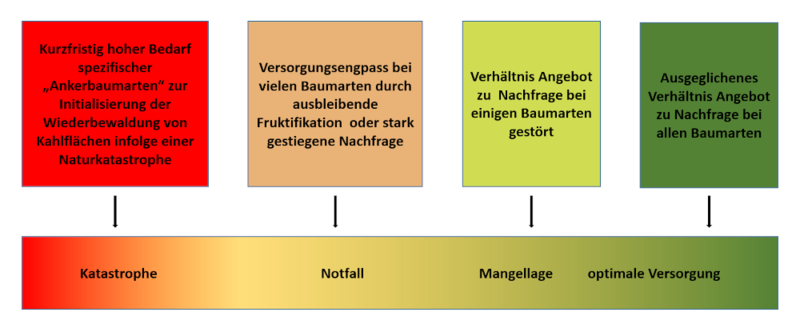 Versorgungslage forstlichem Vermehrungsgut
