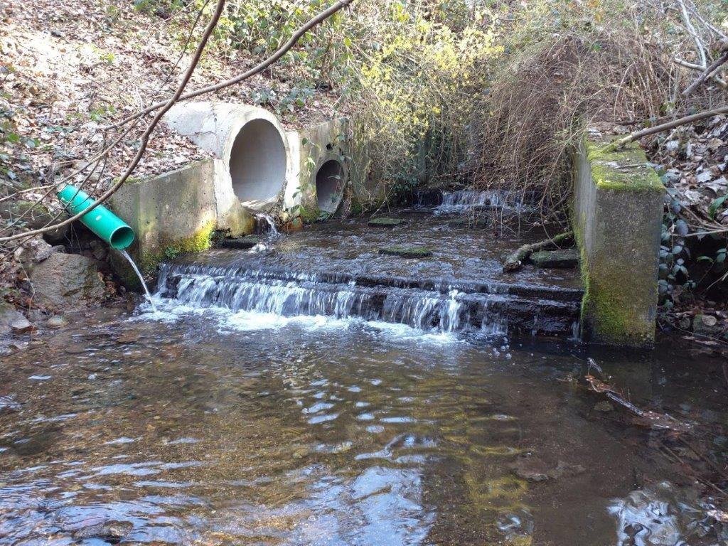 Unterbrochene Wasserwege und ihre ökologischen Folgen 1 Unterbrochene Wasserwege und ihre ökologischen Folgen