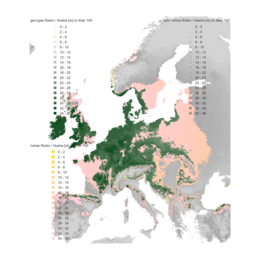 Verbreitung der Rotbuche und Hainbuche 1981-2010