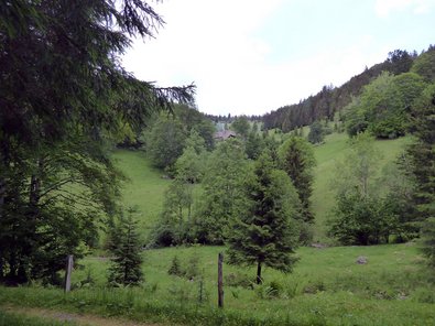 Steilhang mit gelenkter Sukzession. Ohne Pflege verschwindet die geschützte subalpine Weidevegetation.