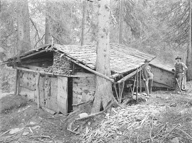 Schutzhütte aus Holz im Schwammwald bei Haslen
