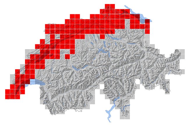 Verbreitung des Mittelspechts in der Schweiz