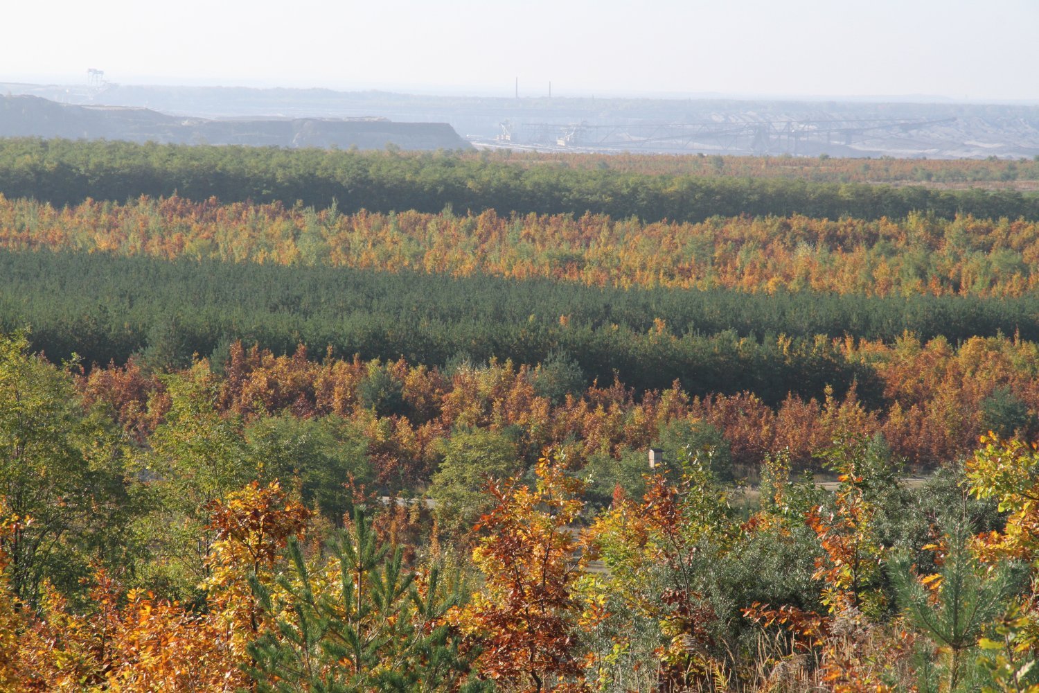 Einschneidender Wandel in einer alten Kulturlandschaft 1 Einschneidender Wandel in einer alten Kulturlandschaft