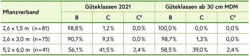 Die Aststärken 41 bos 81 werden auf die Güteklassen 2021 und die Güteklassen ab 30 cm MDM verteilt.