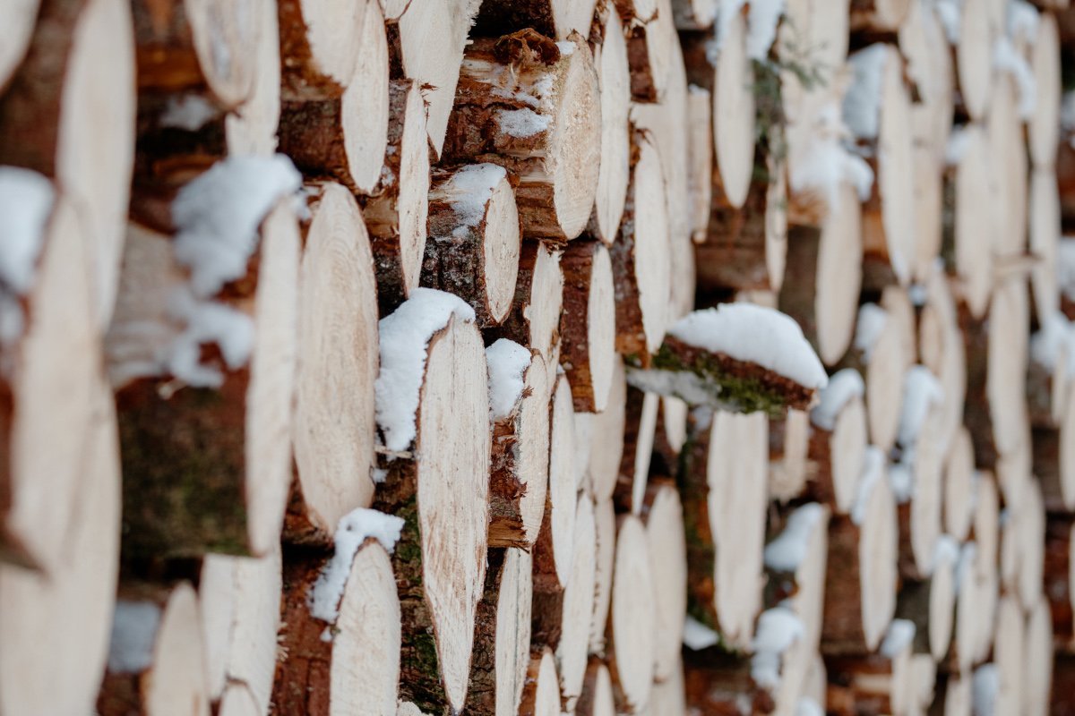Forstbetriebe konnten Aufschwung 2023 nicht fortsetzen 1 Forstbetriebe konnten Aufschwung 2023 nicht fortsetzen