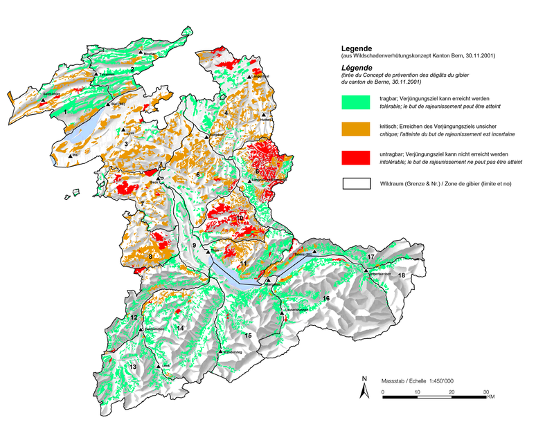 Wildschadengutachten 2013 des Kantons Bern
