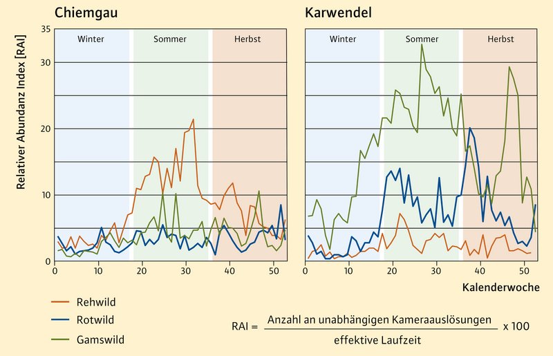komplizierte Grafik