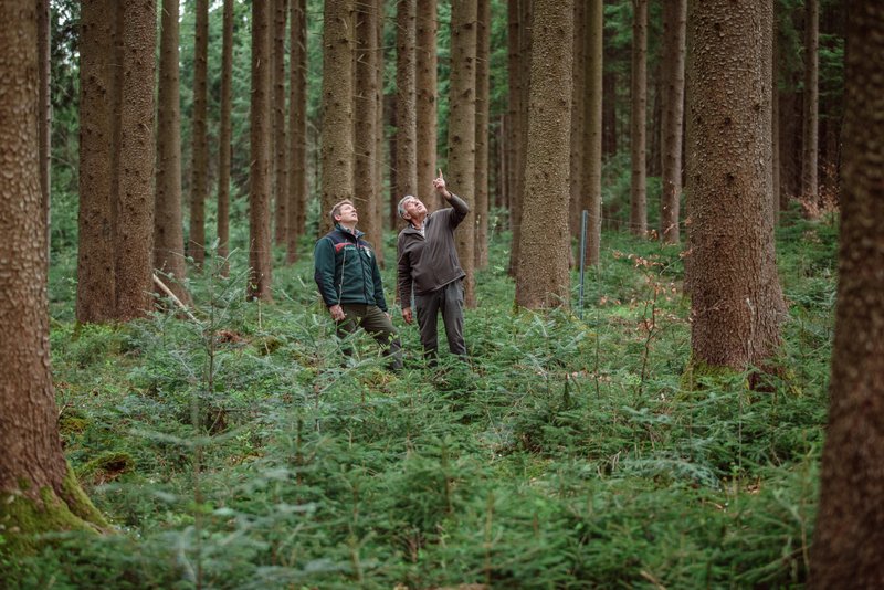 Förster und Waldbesitzer bei einem Beratungsgespräch im Wald