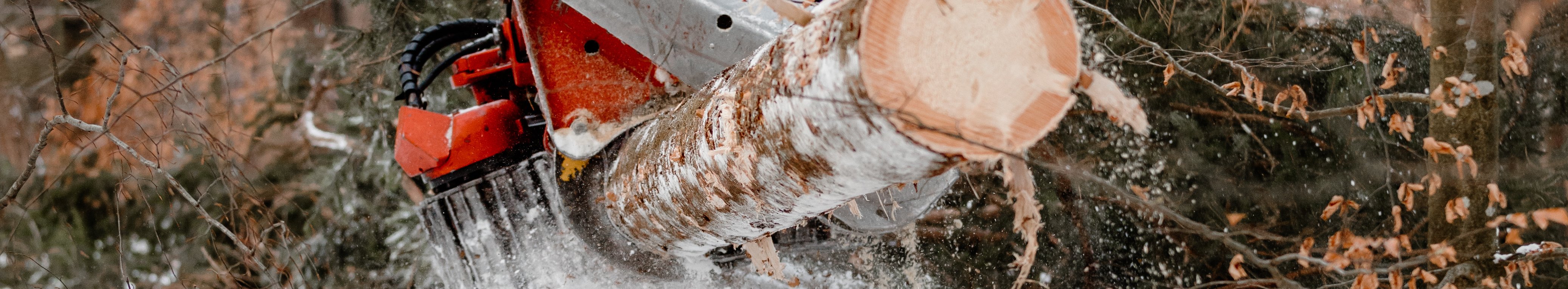 Harvester bei der Holzernte