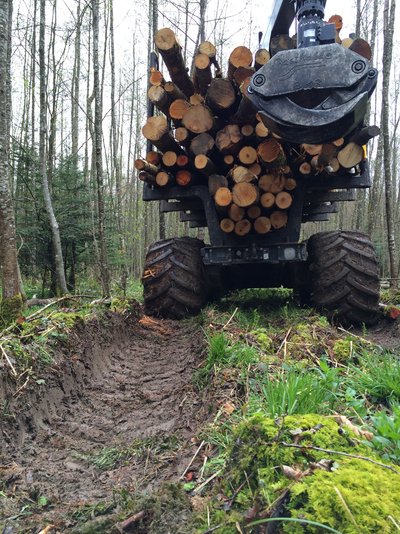 Reifenspuren eines Tragschleppers – eine pflegliche Holzernte ist voraussetzung für den Waldbodenschutz (Foto: FVA BW/P. Hartmann).