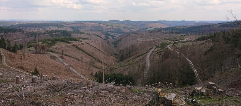 Südthüringer Wald 2021
