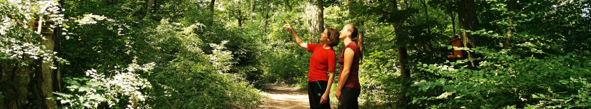 Zwei Frauen stehen in einem Wald. Eine von ihnen zeigt auf etwas.