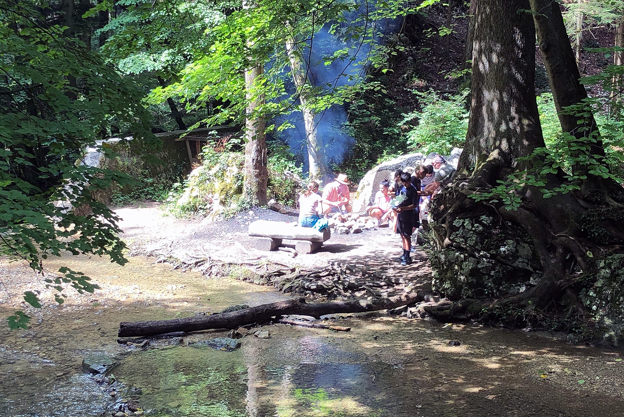 Feuerstelle am Bach im Wald