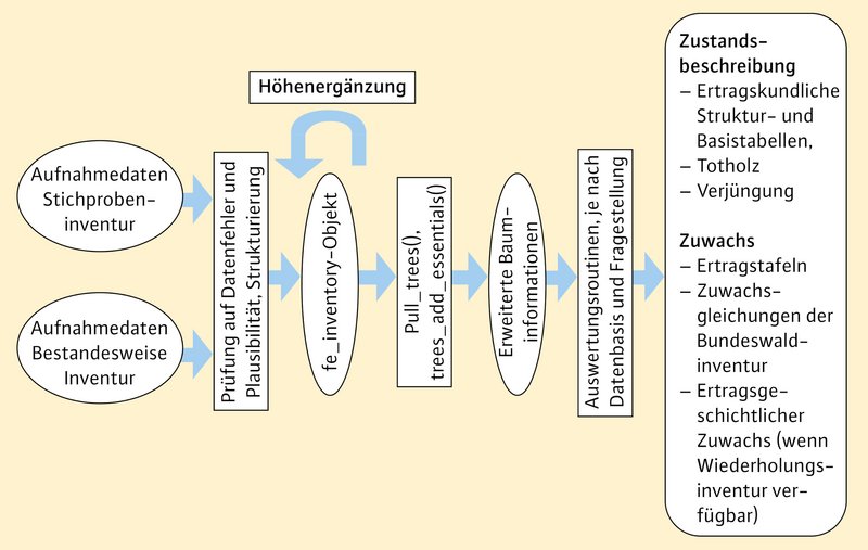 Ablaufschema