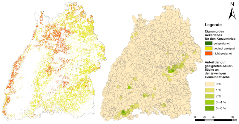 Eignung des Ackerlands für KUP in Baden-Württemberg unter Berücksichtigung standörtlicher, technischer und ethischer Restriktionen