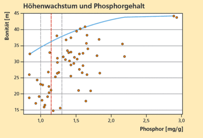 Höhenwachstum und Phosphorgehalt