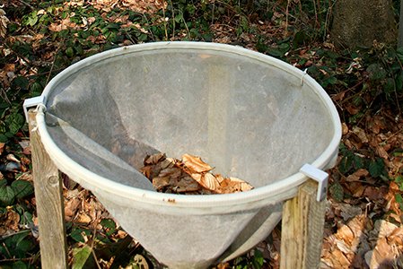 Waldökosystemforschung (Symbolbild)