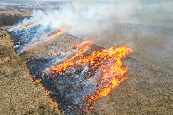 Flammen bedecken eine Wiese.