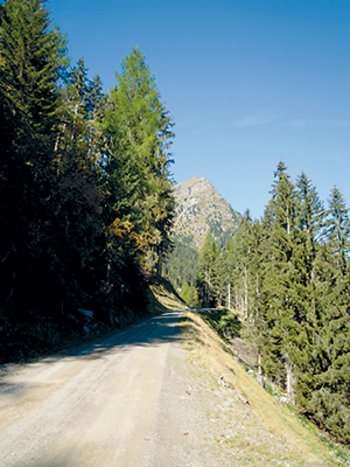 Abbildung 4: Forststraßen sind eine wichtige Grundlage für die Bewirtschaftung alpiner Wälder, jedoch auch maßgebliche Faktoren für erhöhten Abfluss und Feststoff­austrag bei Starkniederschlägen