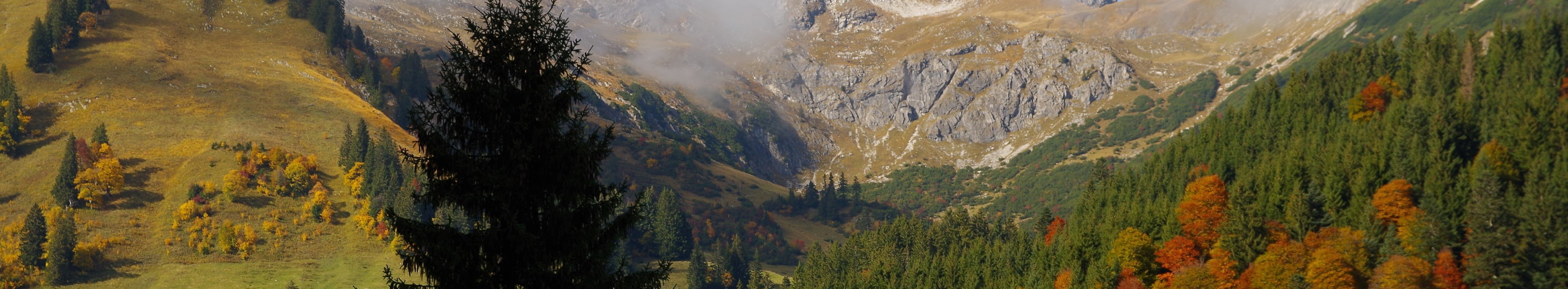 eine herbstliche Bergkulisse in den Allgäuer Hochalpen. Rechts ein Farbenprächtiger Bergmischwald, links offene Almflächen, im Hintergrund Wolkenverhangene Gipfel