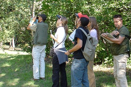 Waldbeobachtung durch Menschen