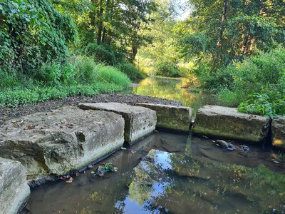 Schlitzdrossel im Naturpark Südschwarzwald: Reguliert den Abfluss aus einem Kleinrückhaltebecken und sorgt für eine kontrollierte, verzögerte Wasserableitung.