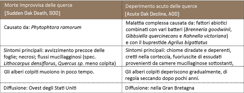 Differenziazione tra la morte improvvisa delle querce (SOD) e il deperimento acuto delle querce (AOD)