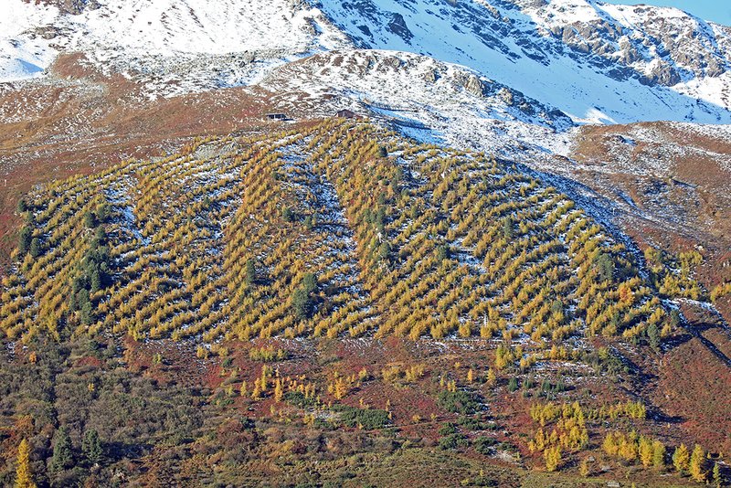  surface d’afforestation du Stillberg, près de Davos