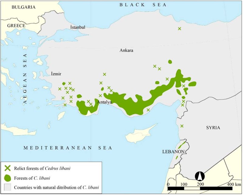 Karte der Türkei mit Verbreitungsschwerpunkt im Süde bis Südosten