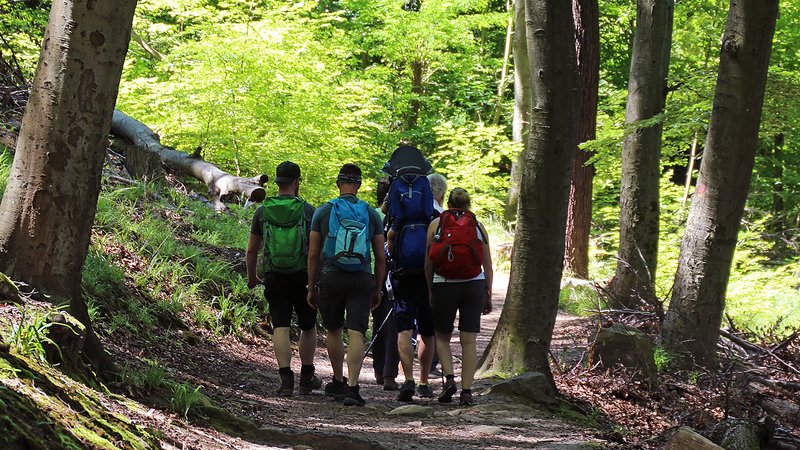 Waldspaziergang