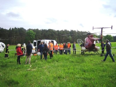 Hubschraubereinsatz zur Rettung von Waldbeständen