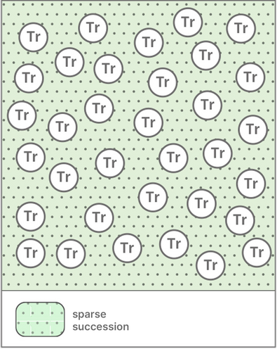 Graph showing evenly distributed groups of sessile oaks