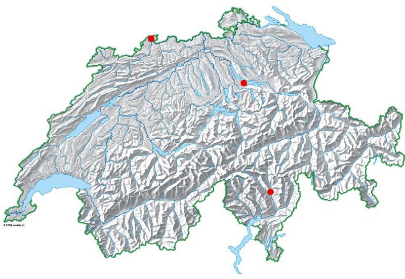 Verbreitung des Zitronenseitlings in der Schweiz