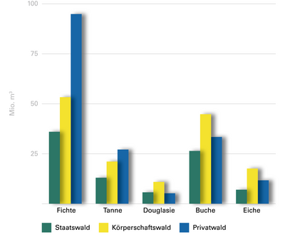 Abb. 6: Aktueller Holzvorrat wichtiger Baumarten nach Waldeigentumsarten (Mio. m³)