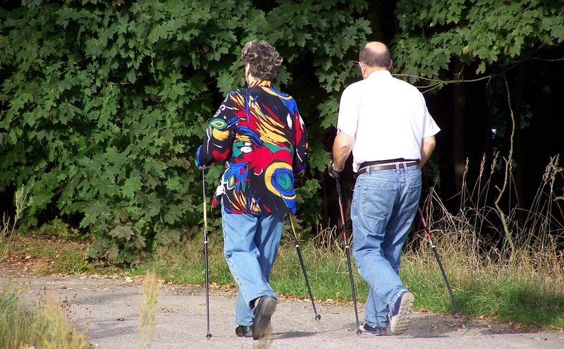 Freies Betretungsrecht im Schweizer Wald auch für Wanderer.