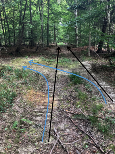 Querabschläge leiten das in den Spurgleisen einer Rückegasse abfließende Wasser seitlich in den angrenzenden Waldbestand.