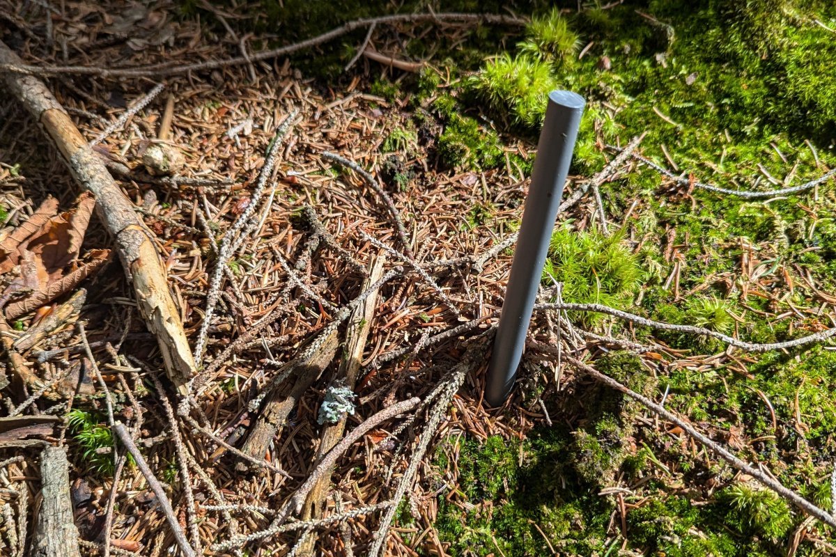 Veränderung des Tangelhumus in den bayerischen Kalkalpen 1 Veränderung des Tangelhumus in den bayerischen Kalkalpen