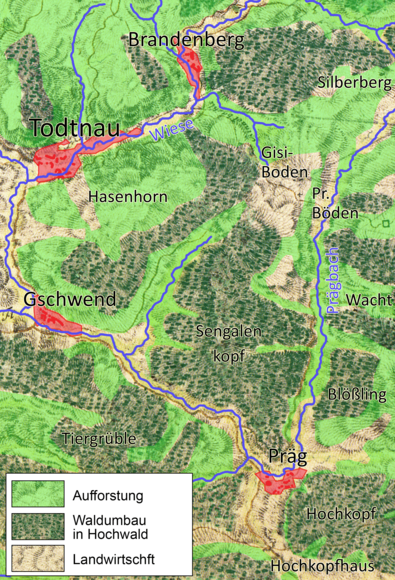Todtnau und der „Wald“ 1790- 2020: Lichte Weidewälder wurden Hochwälder. Mischwälder entstanden durch Pflanzung und Pflege. 