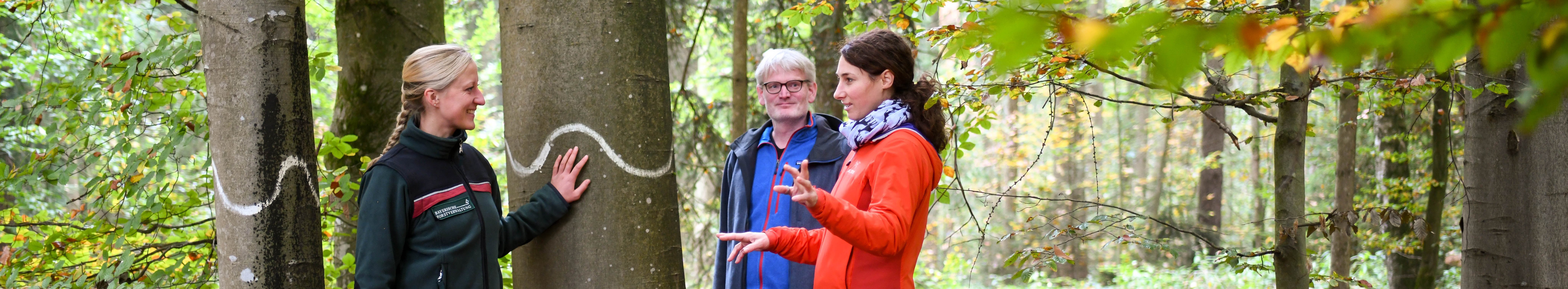 Försterin in Dienstkleidung berät Waldbesitzerpaar in einem Waldbestand im Herbst. Sie stehen vor einer alten Buche, welcher mit einer weißen Wellenlinie als Biotopbaum gekennzeichnet ist.