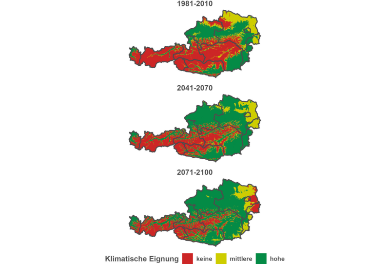 Die klimatische Eignung wird an Österreichkarten gezeigt für die Jahre 1981-2010, 2041-2070 und 2071-2100